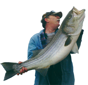 ROCKFISH Kingfish II