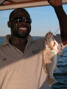 Croaker Kingfish II