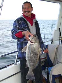 Drum Kingfish II