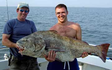 spadefish