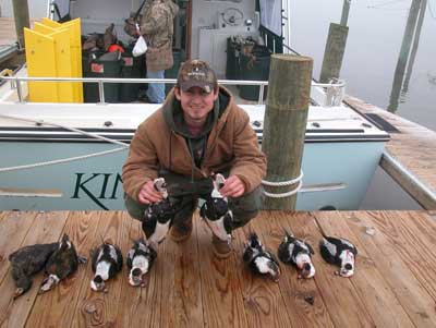 kingfish hunting