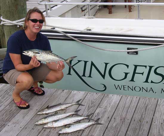 Seatrout