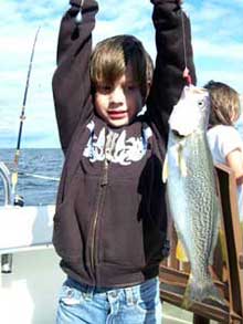 Sea Trout Kingfish II