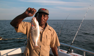 Kingfish II Bottom Fishing