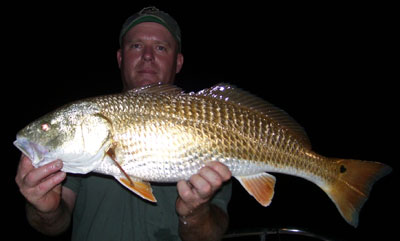 Kingfish II Night Fishing Drum