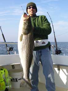 Rockfish Kingfish II